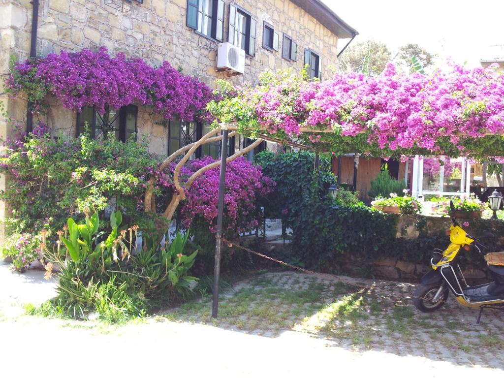Akasya Hotel (Adults Only) Side Exterior foto